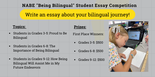 Essay